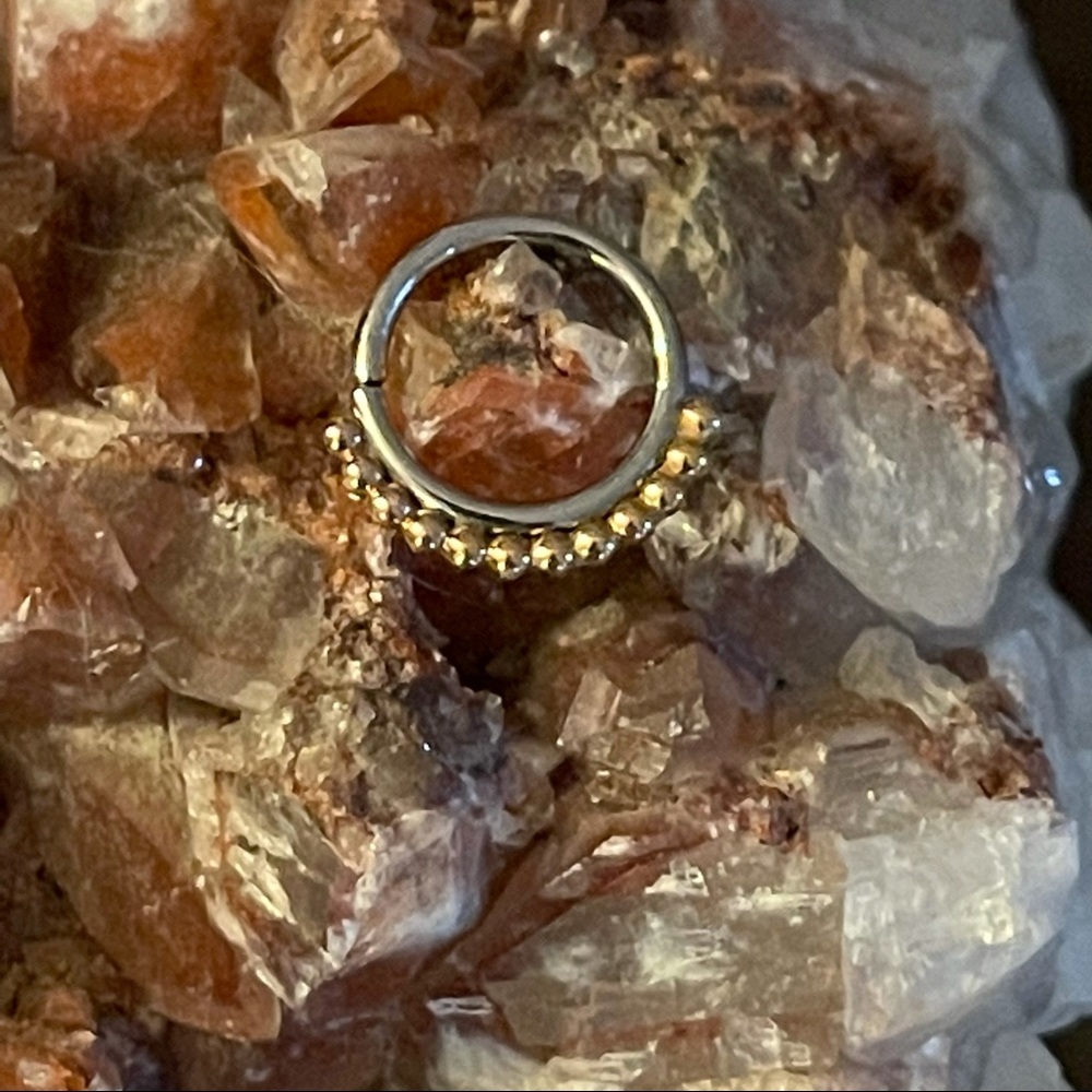 Anatometal Vaughn Seam Ring SS 18k Rose Gold 3/8” Diameter - Picture 4 of 8